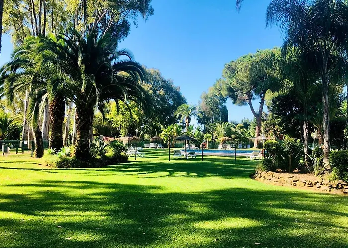 Puerto Banus Leo *